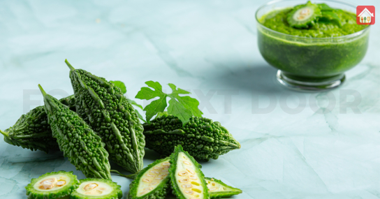Bitter-melon--eliminating-carbs
