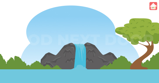 Decreases-the-danger-of-waterfall-advancement--veggie-lover-diet