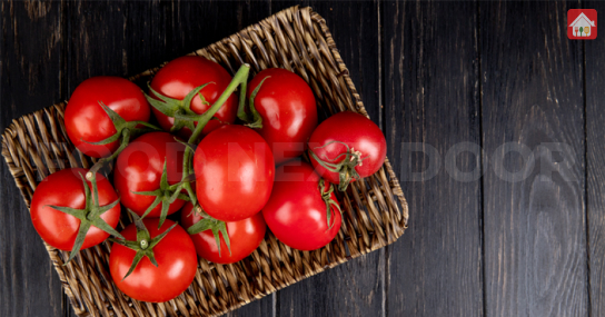 tomato--eliminating-carbs