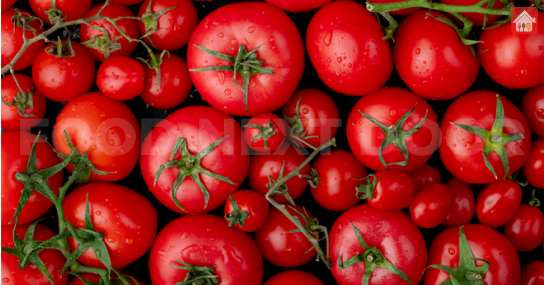 tomato--special-foods