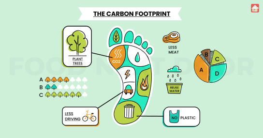 Home-cooked-meals-can-also-save-money-and-reduce-our-carbon-footprint--Homecooked Home-cooked-meals-can-also-save-money-and-reduce-our-carbon-footprint--Homecooked