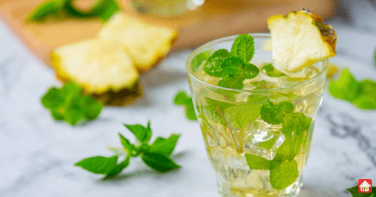 Mint-Julep--cocktail-drinks