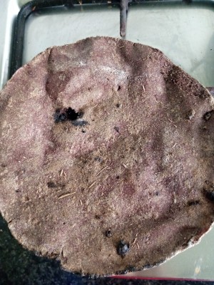 Ragi Rotla (Min 8)