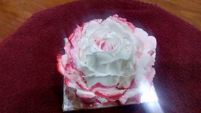 Cup Cake (Minimum Order 20 Pc)