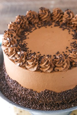 Chocochip Mousse Cake - 500 Gms