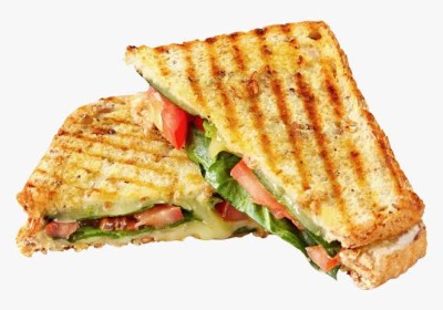 Vegetable Grilled Sandwich