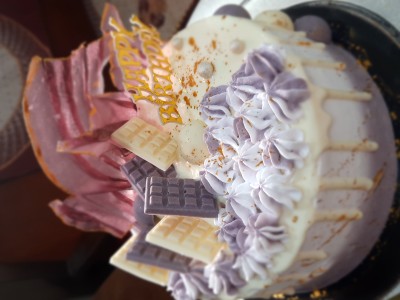 Blueberry Cheese Cake