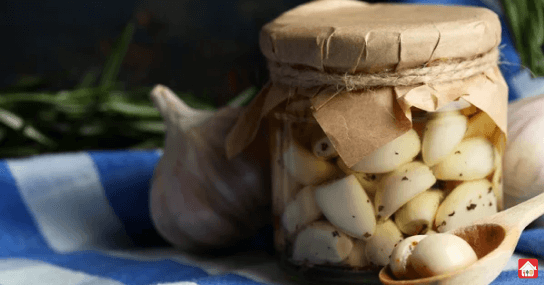 Garlic-Pickle--How-many-types-of-pickles-are-there-different-pickles-in-India