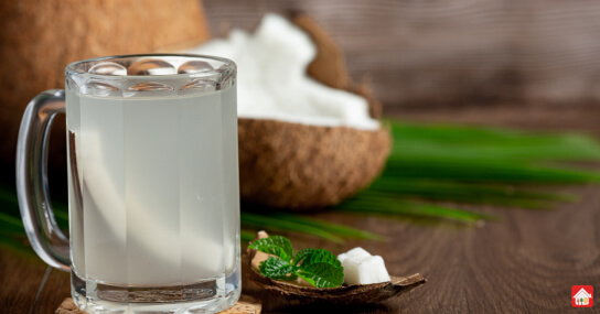 Summer-Foods-that-you-can-eat--Seasonal-balance-diet-list