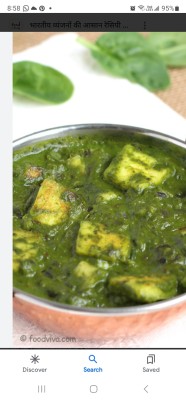 Veg Palak Panner