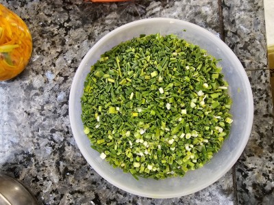 Green Lasan